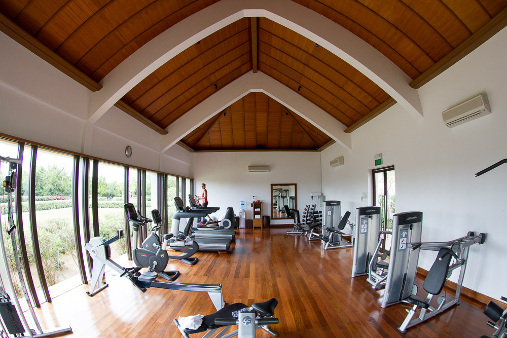 The Gymnasium