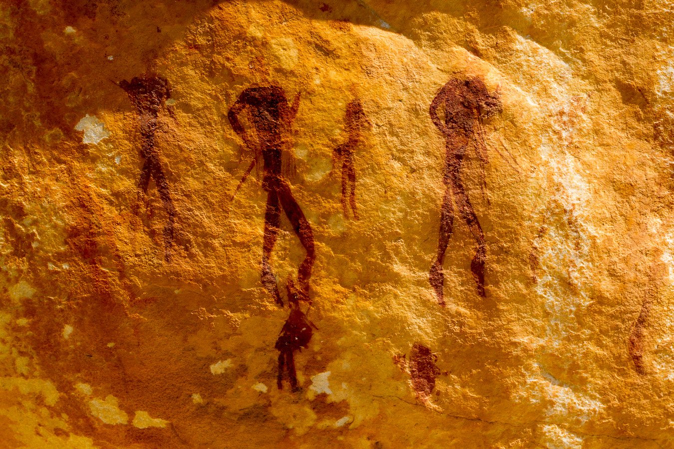 bushmanwandmalerei2.jpg